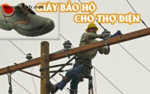 Lựa Chọn An Toàn Cho Ngành Điện Lực (4)